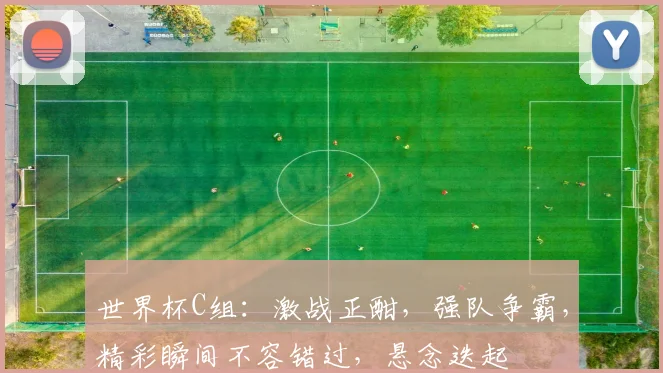世界杯C组：激战正酣，强队争霸，精彩瞬间不容错过，悬念迭起